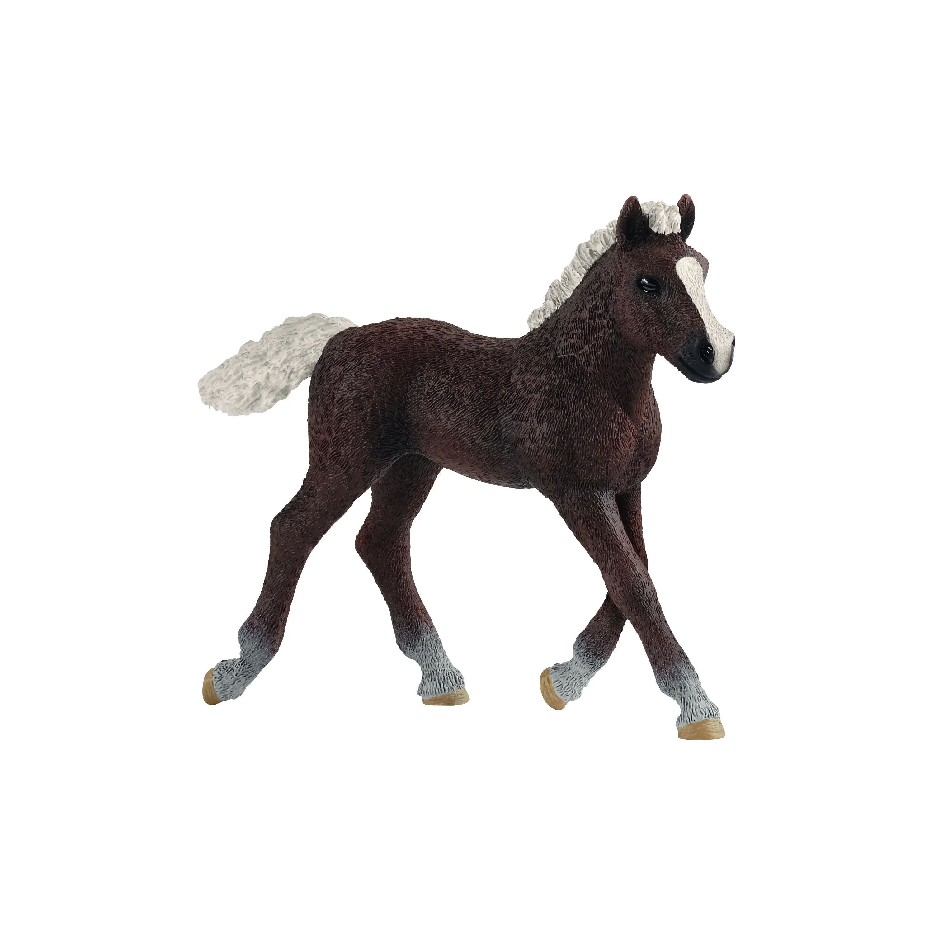 Black Forest Foal