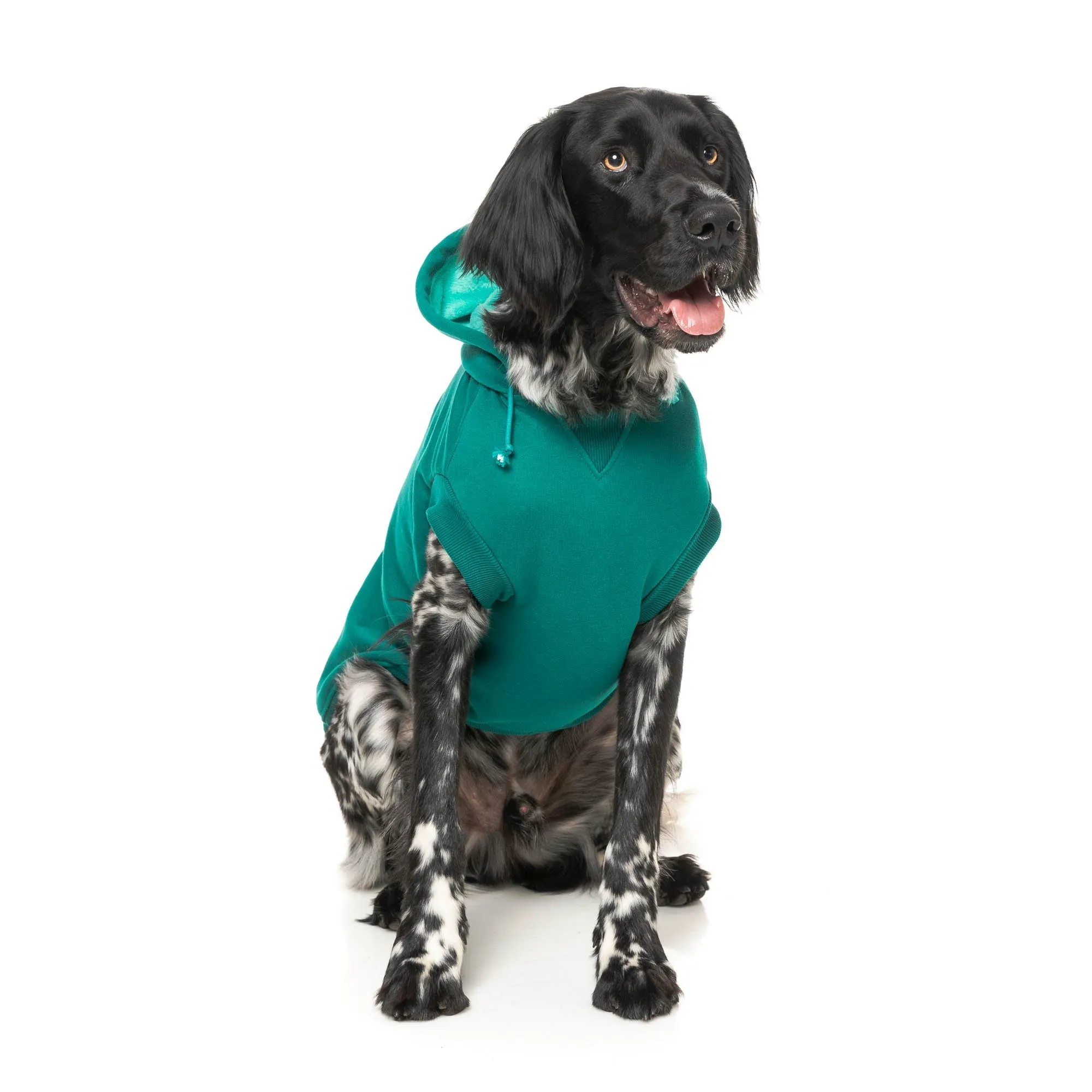 FuzzYard Dog Apparel Wooftagram Hoodie Green Size 2 XSmall***