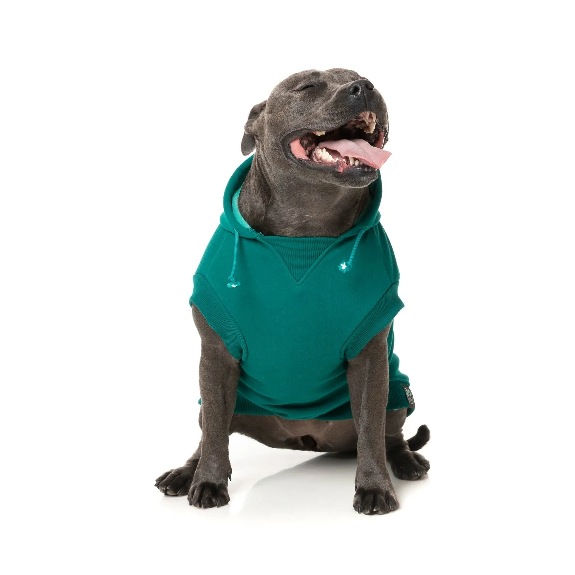 FuzzYard Dog Apparel Wooftagram Hoodie Green Size 2 XSmall***