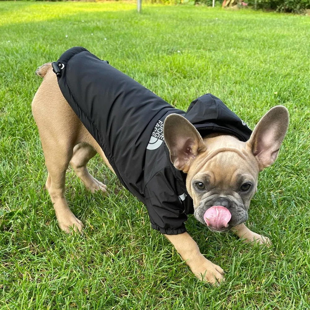 Pat and Pet Emporium | Pet Clothing | Reflective Rain Hoodie