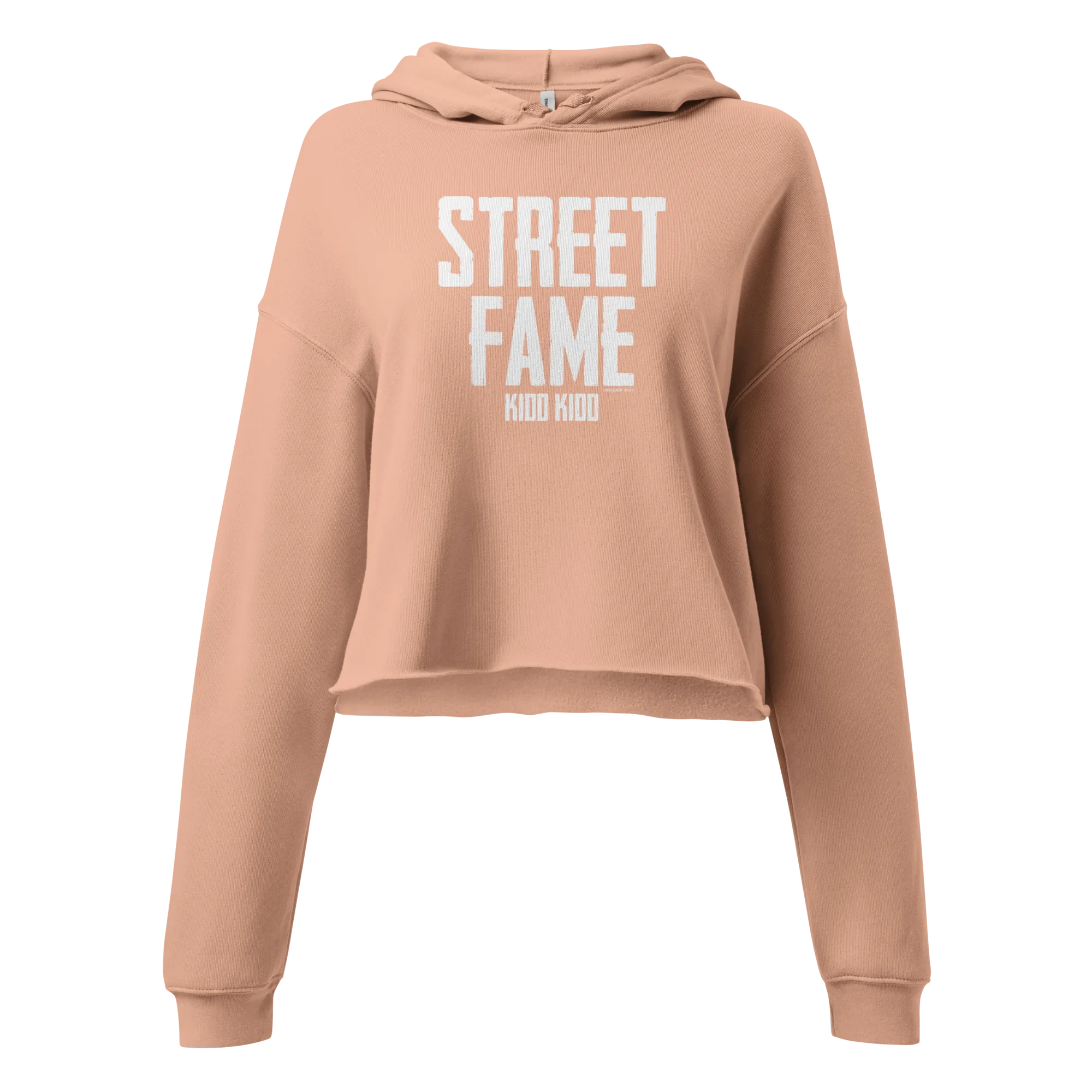 Street Fame Crop Hoodie